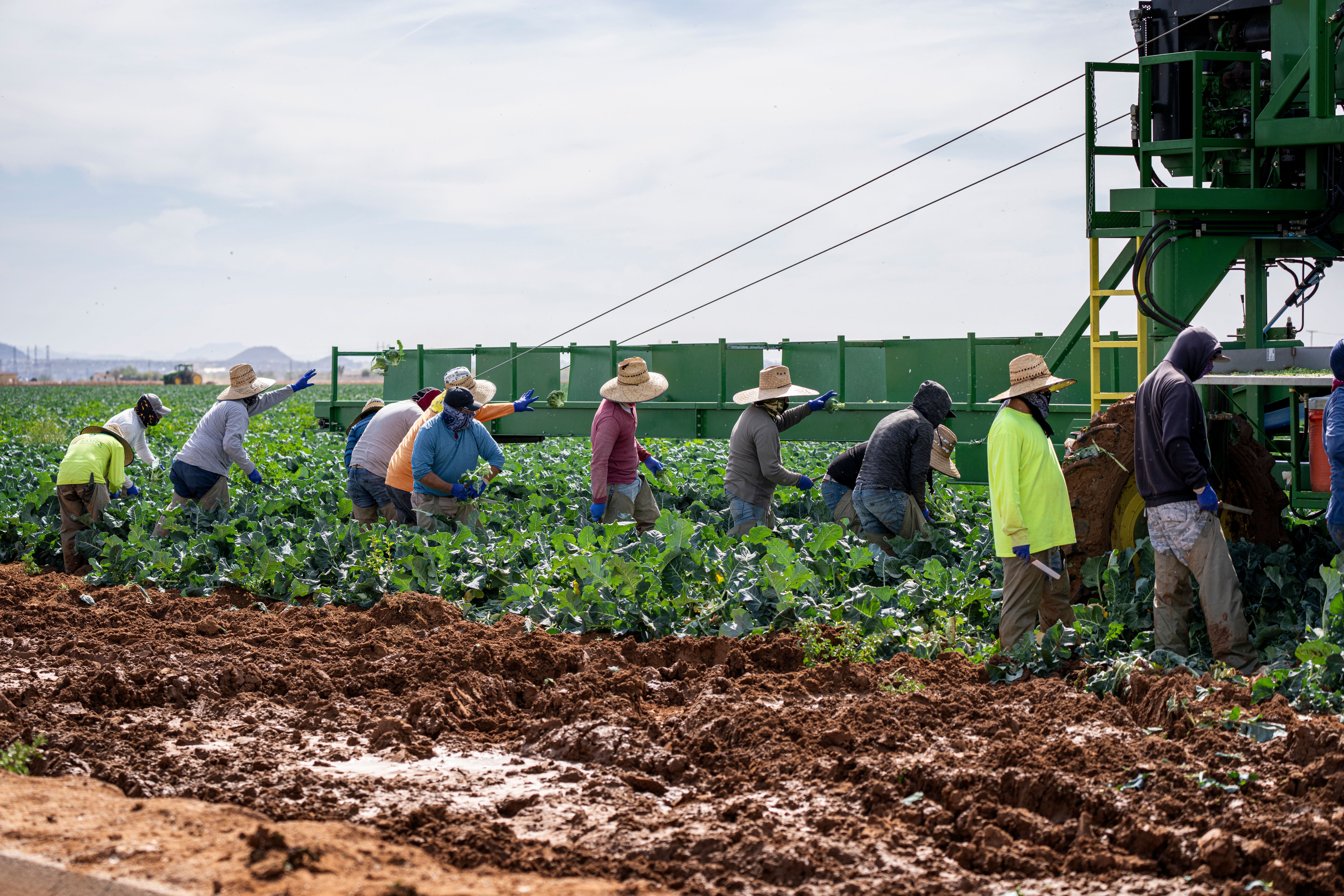 Greenhouse and agriculture workers